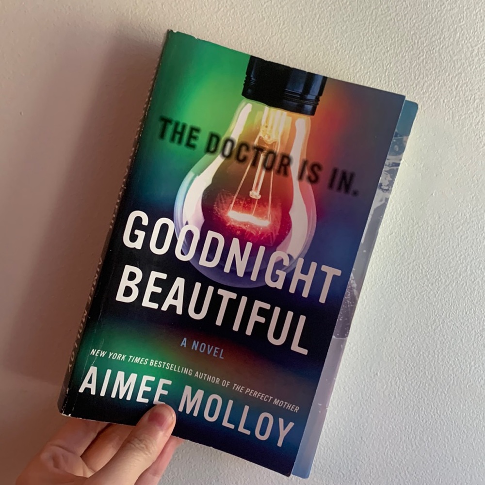 3/$15 Good night beautiful novel by Aimee Molloy